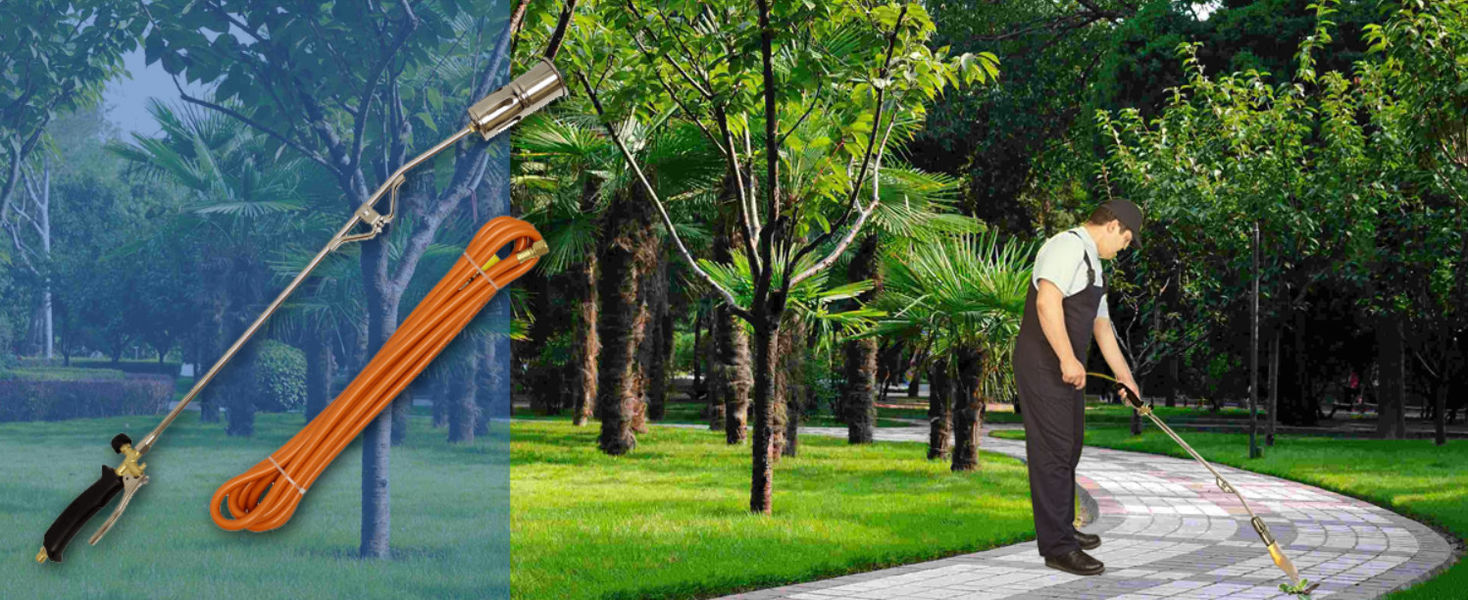 Antorcha de la calefacción de gas