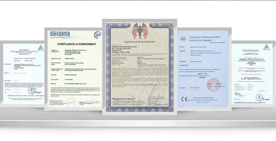 Logotipo personalizado disponibled Conexión rápida RV manguera de extensión de propano para parrilla portátil