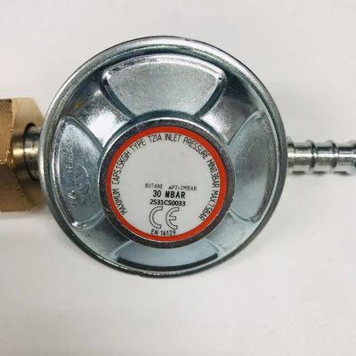 Regulador de gas de apoyo ODM para mayores caudales a temperaturas más frías en los Países Bajos